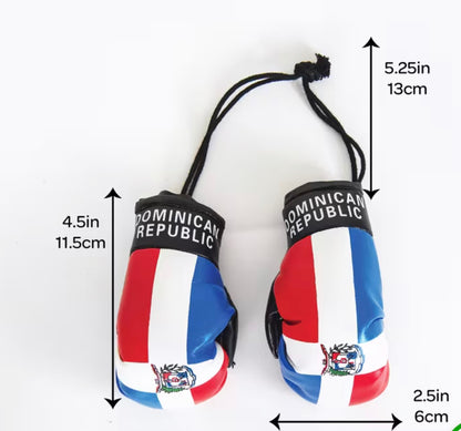 DR mini Boxing Gloves