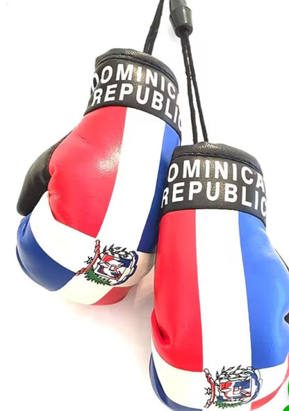 DR mini Boxing Gloves