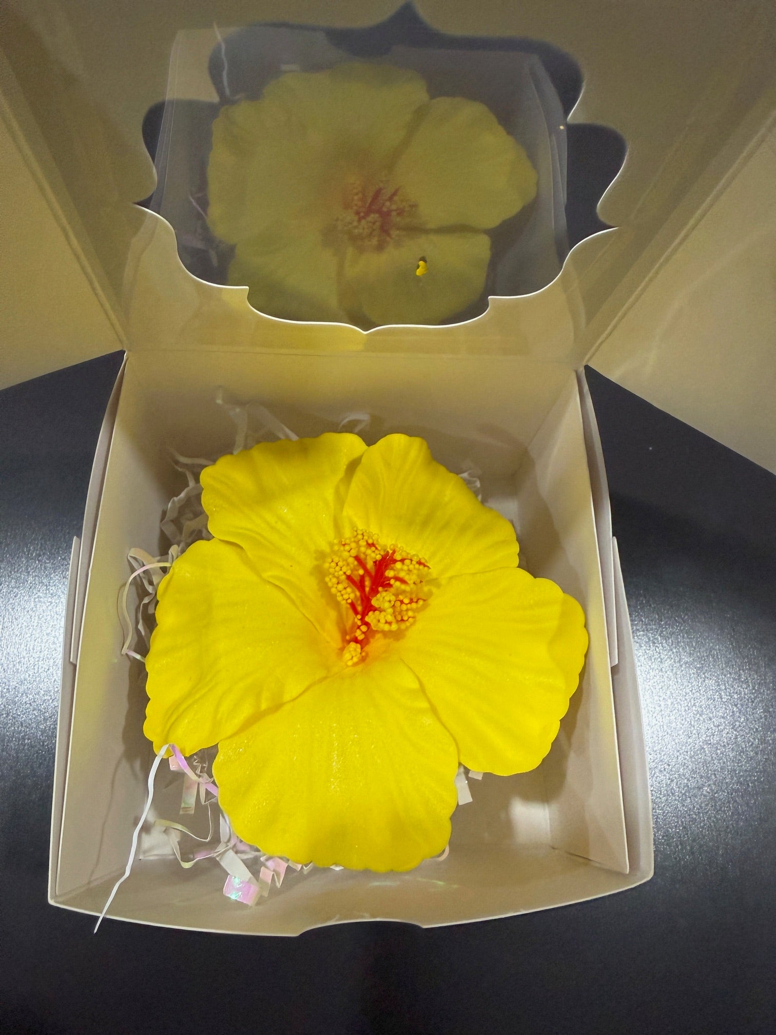 Beautiful Flower