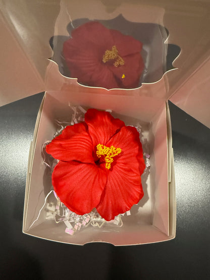 Beautiful Flower