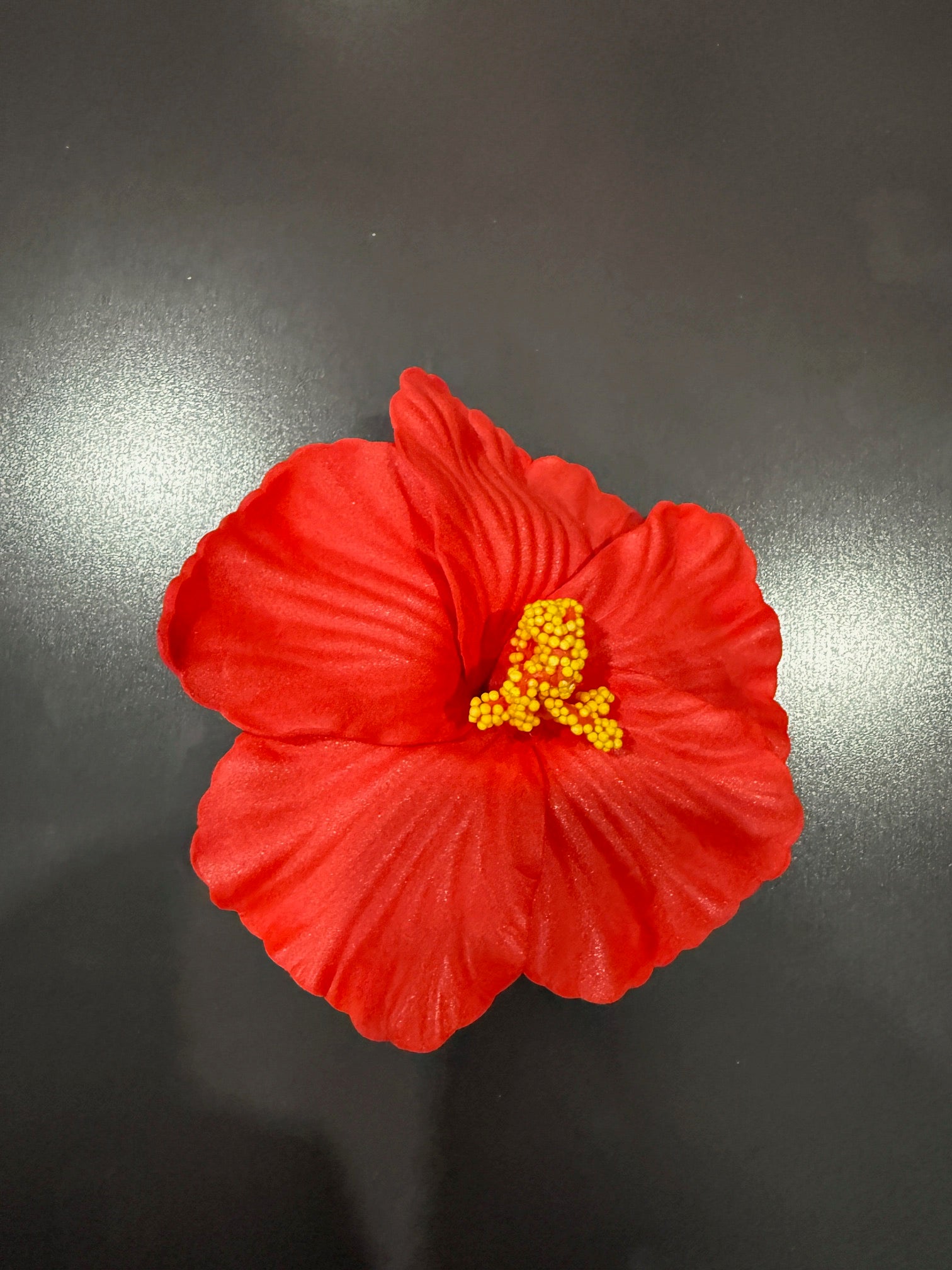 Beautiful Flower