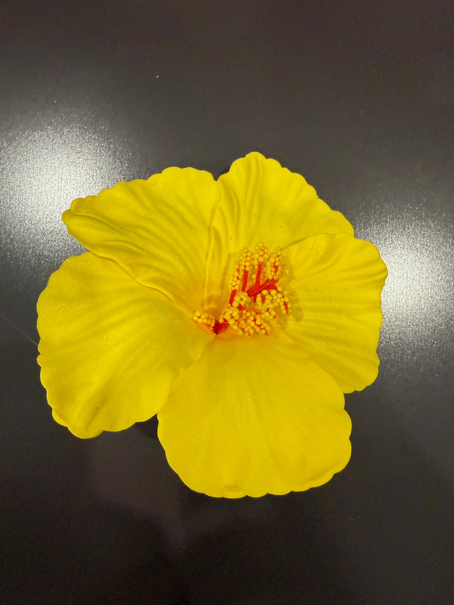 Beautiful Flower
