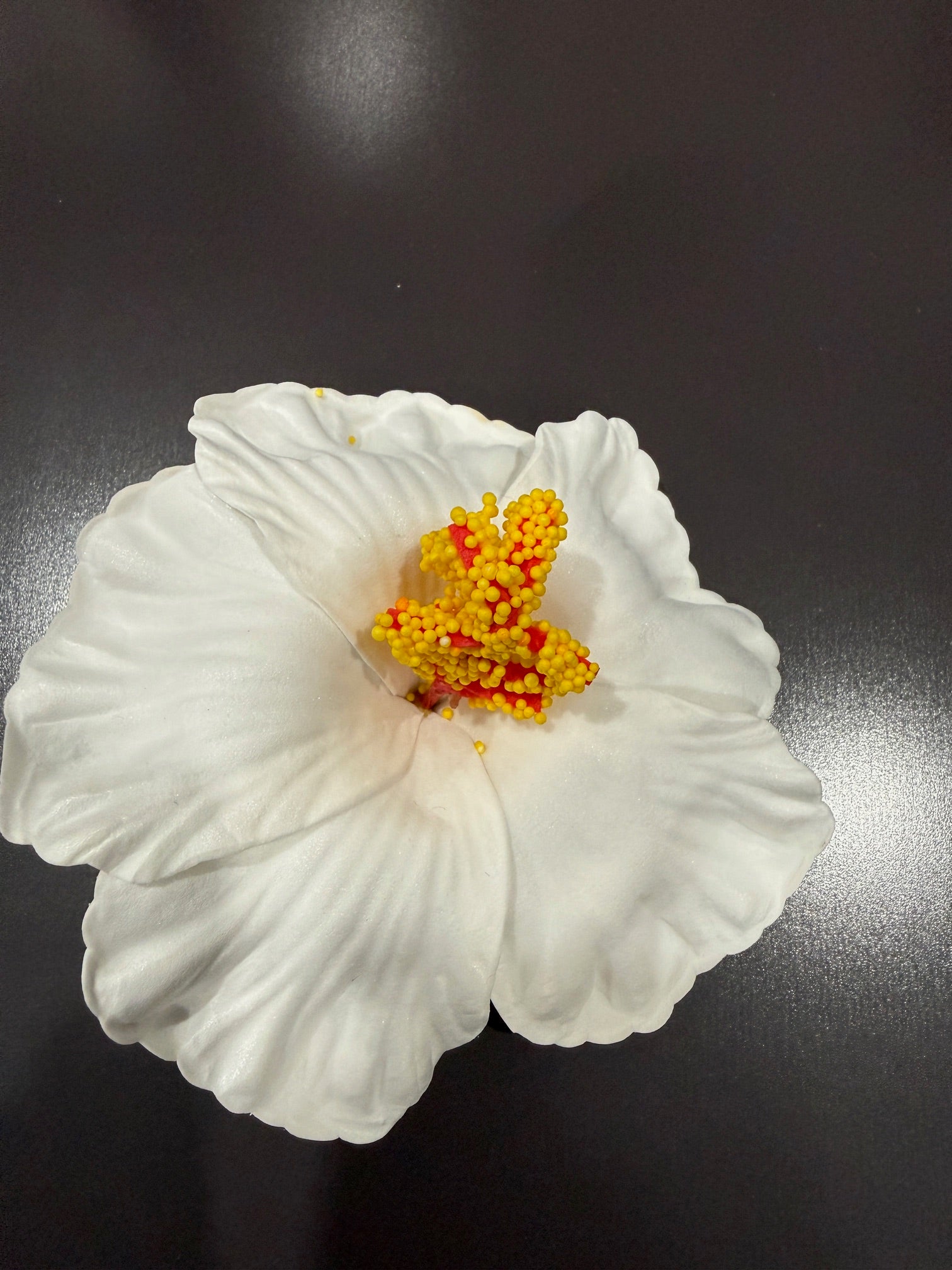 Beautiful Flower