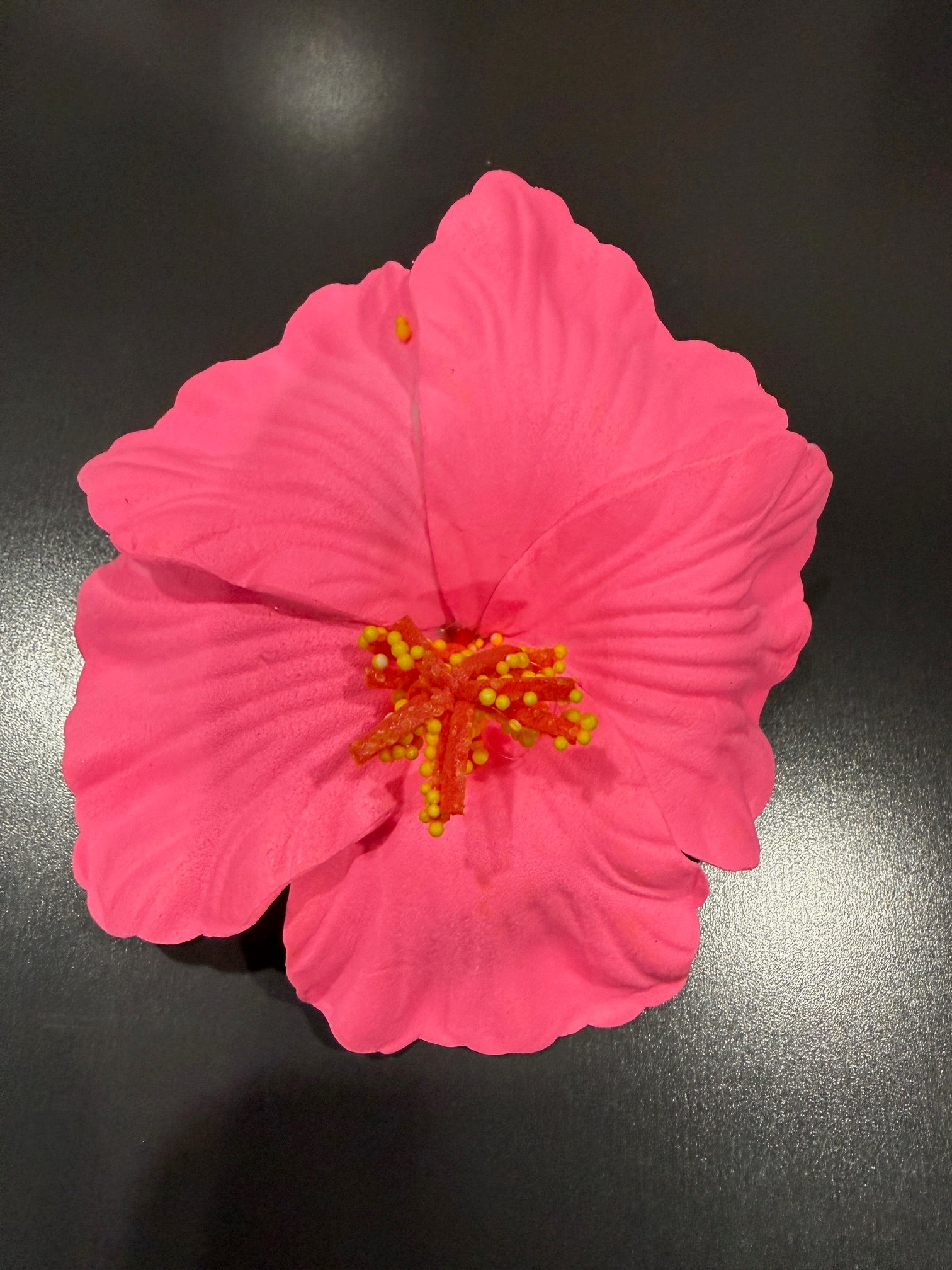 Beautiful Flower