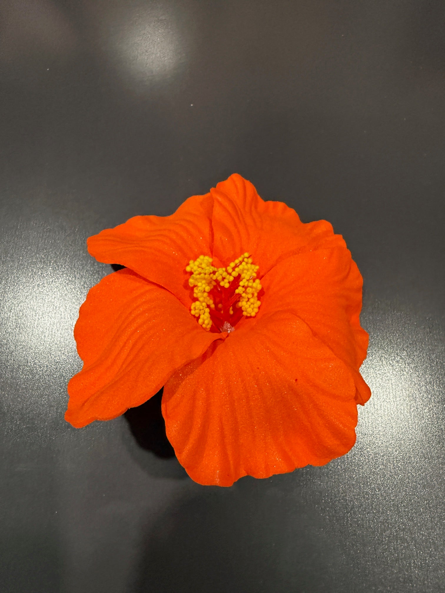 Beautiful Flower