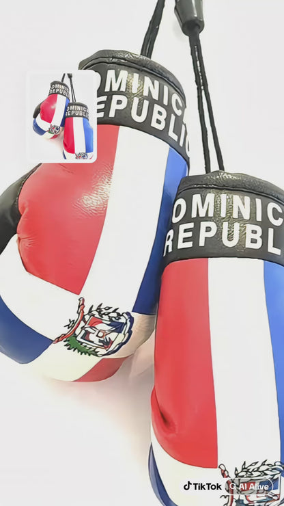 DR mini Boxing Gloves